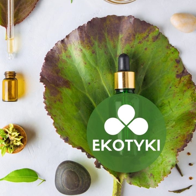 EKOTYKI 2019